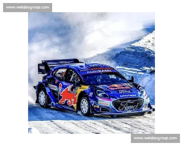 车迷热议！WRC冠军榜的未来之星，谁将闪耀赛道